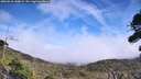 ./images/calvert/fitz-hugh-hecate/20260918/fitz-hugh-hecate20260918_140002M.jpg