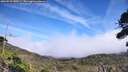 ./images/calvert/fitz-hugh-hecate/20260918/fitz-hugh-hecate20260918_140501M.jpg