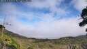 ./images/calvert/fitz-hugh-hecate/20260918/fitz-hugh-hecate20260918_141501M.jpg