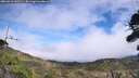 ./images/calvert/fitz-hugh-hecate/20260918/fitz-hugh-hecate20260918_142501M.jpg