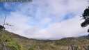 ./images/calvert/fitz-hugh-hecate/20260918/fitz-hugh-hecate20260918_143001M.jpg