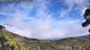 ./images/calvert/fitz-hugh-hecate/20260918/fitz-hugh-hecate20260918_145501M.jpg