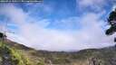 ./images/calvert/fitz-hugh-hecate/20260918/fitz-hugh-hecate20260918_150501M.jpg