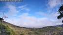 ./images/calvert/fitz-hugh-hecate/20260918/fitz-hugh-hecate20260918_151001M.jpg