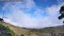 ./images/calvert/fitz-hugh-hecate/20260918/fitz-hugh-hecate20260918_152001M.jpg