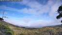 ./images/calvert/fitz-hugh-hecate/20260918/fitz-hugh-hecate20260918_153002M.jpg