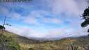 ./images/calvert/fitz-hugh-hecate/20260918/fitz-hugh-hecate20260918_153501M.jpg
