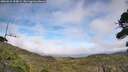 ./images/calvert/fitz-hugh-hecate/20260918/fitz-hugh-hecate20260918_154001M.jpg