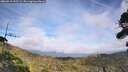 ./images/calvert/fitz-hugh-hecate/20260918/fitz-hugh-hecate20260918_155502M.jpg