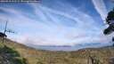 ./images/calvert/fitz-hugh-hecate/20260918/fitz-hugh-hecate20260918_161502M.jpg