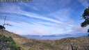 ./images/calvert/fitz-hugh-hecate/20260918/fitz-hugh-hecate20260918_163501M.jpg