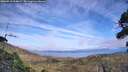 ./images/calvert/fitz-hugh-hecate/20260918/fitz-hugh-hecate20260918_164001M.jpg