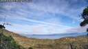 ./images/calvert/fitz-hugh-hecate/20260918/fitz-hugh-hecate20260918_164501M.jpg