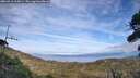 ./images/calvert/fitz-hugh-hecate/20260918/fitz-hugh-hecate20260918_165001M.jpg