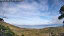 ./images/calvert/fitz-hugh-hecate/20260918/fitz-hugh-hecate20260918_165501M.jpg