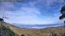 ./images/calvert/fitz-hugh-hecate/20260918/fitz-hugh-hecate20260918_171501M.jpg