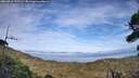 ./images/calvert/fitz-hugh-hecate/20260918/fitz-hugh-hecate20260918_172501M.jpg