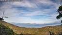 ./images/calvert/fitz-hugh-hecate/20260918/fitz-hugh-hecate20260918_173502M.jpg