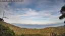 ./images/calvert/fitz-hugh-hecate/20260918/fitz-hugh-hecate20260918_175001M.jpg