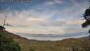 ./images/calvert/fitz-hugh-hecate/20260918/fitz-hugh-hecate20260918_191502M.jpg