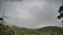 ./images/calvert/fitz-hugh-hecate/20260919/fitz-hugh-hecate20260919_104001M.jpg