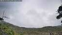 ./images/calvert/fitz-hugh-hecate/20260919/fitz-hugh-hecate20260919_110502M.jpg