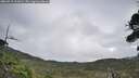 ./images/calvert/fitz-hugh-hecate/20260919/fitz-hugh-hecate20260919_111001M.jpg