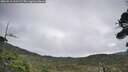 ./images/calvert/fitz-hugh-hecate/20260919/fitz-hugh-hecate20260919_111501M.jpg