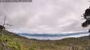 ./images/calvert/fitz-hugh-hecate/20260919/fitz-hugh-hecate20260919_120002M.jpg