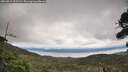 ./images/calvert/fitz-hugh-hecate/20260919/fitz-hugh-hecate20260919_121501M.jpg