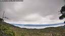 ./images/calvert/fitz-hugh-hecate/20260919/fitz-hugh-hecate20260919_130001M.jpg