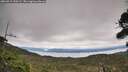 ./images/calvert/fitz-hugh-hecate/20260919/fitz-hugh-hecate20260919_130501M.jpg
