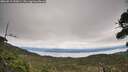 ./images/calvert/fitz-hugh-hecate/20260919/fitz-hugh-hecate20260919_132001M.jpg