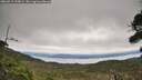 ./images/calvert/fitz-hugh-hecate/20260919/fitz-hugh-hecate20260919_133001M.jpg