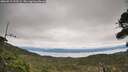 ./images/calvert/fitz-hugh-hecate/20260919/fitz-hugh-hecate20260919_133501M.jpg