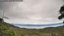 ./images/calvert/fitz-hugh-hecate/20260919/fitz-hugh-hecate20260919_134502M.jpg