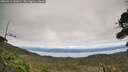 ./images/calvert/fitz-hugh-hecate/20260919/fitz-hugh-hecate20260919_140001M.jpg
