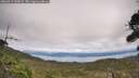 ./images/calvert/fitz-hugh-hecate/20260919/fitz-hugh-hecate20260919_143002M.jpg