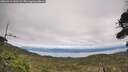 ./images/calvert/fitz-hugh-hecate/20260919/fitz-hugh-hecate20260919_143502M.jpg