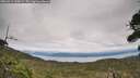 ./images/calvert/fitz-hugh-hecate/20260919/fitz-hugh-hecate20260919_145001M.jpg