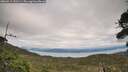 ./images/calvert/fitz-hugh-hecate/20260919/fitz-hugh-hecate20260919_151501M.jpg
