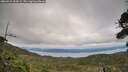 ./images/calvert/fitz-hugh-hecate/20260919/fitz-hugh-hecate20260919_154502M.jpg