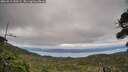 ./images/calvert/fitz-hugh-hecate/20260919/fitz-hugh-hecate20260919_160502M.jpg