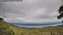 ./images/calvert/fitz-hugh-hecate/20260919/fitz-hugh-hecate20260919_170001M.jpg