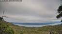 ./images/calvert/fitz-hugh-hecate/20260919/fitz-hugh-hecate20260919_175001M.jpg