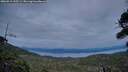 ./images/calvert/fitz-hugh-hecate/20260919/fitz-hugh-hecate20260919_195501M.jpg