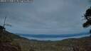 ./images/calvert/fitz-hugh-hecate/20260919/fitz-hugh-hecate20260919_200001M.jpg