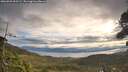 ./images/calvert/fitz-hugh-hecate/20260920/fitz-hugh-hecate20260920_090501M.jpg