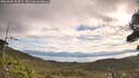 ./images/calvert/fitz-hugh-hecate/20260920/fitz-hugh-hecate20260920_094501M.jpg