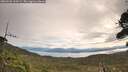 ./images/calvert/fitz-hugh-hecate/20260920/fitz-hugh-hecate20260920_100502M.jpg